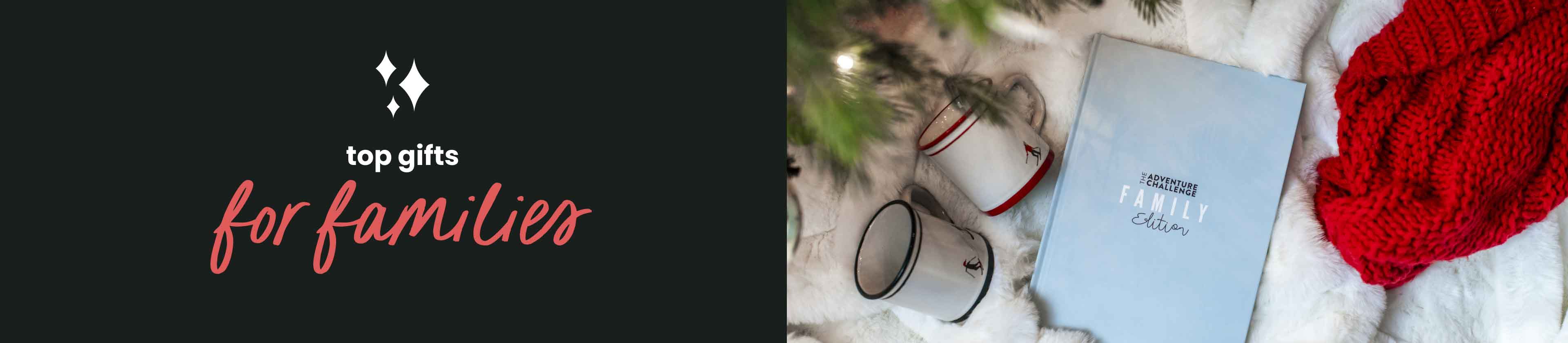 Holiday Gifts