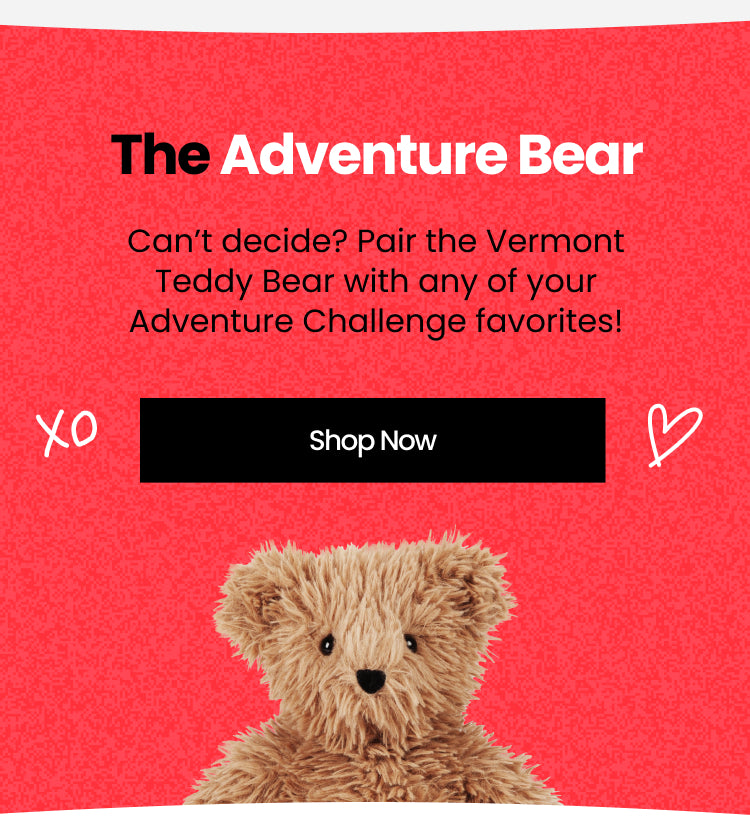 Comfort and Connection Bear Bundles
