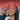 Date Night: Red Means Go